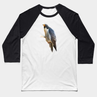 Falcon Baseball T-Shirt